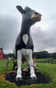 Crazy times with cow statue