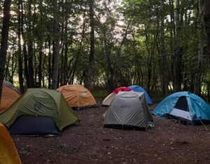 Our tents in the woods